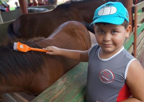 Visita ao Jabuti - 1° ano